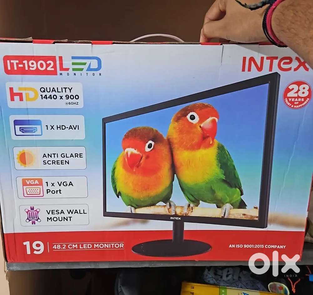 Intex Monitor