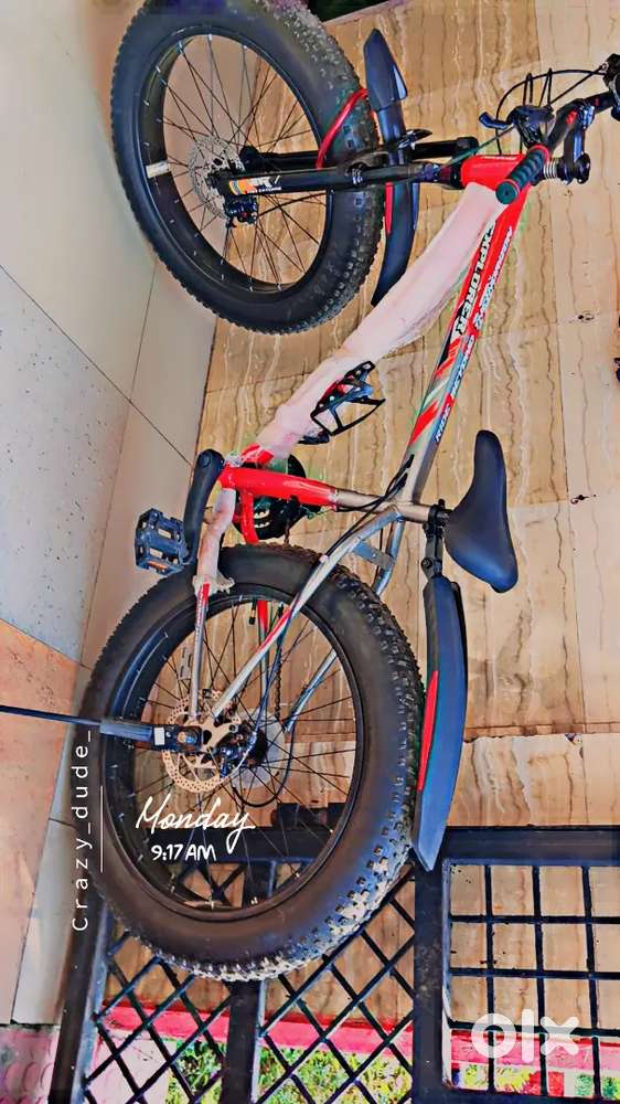 Fat Bike Cycle