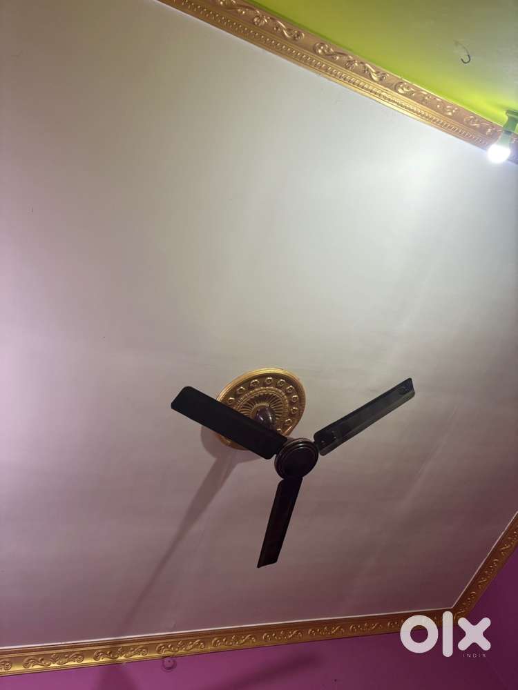 Ceiling Fan in Good Condition – Affordable Price