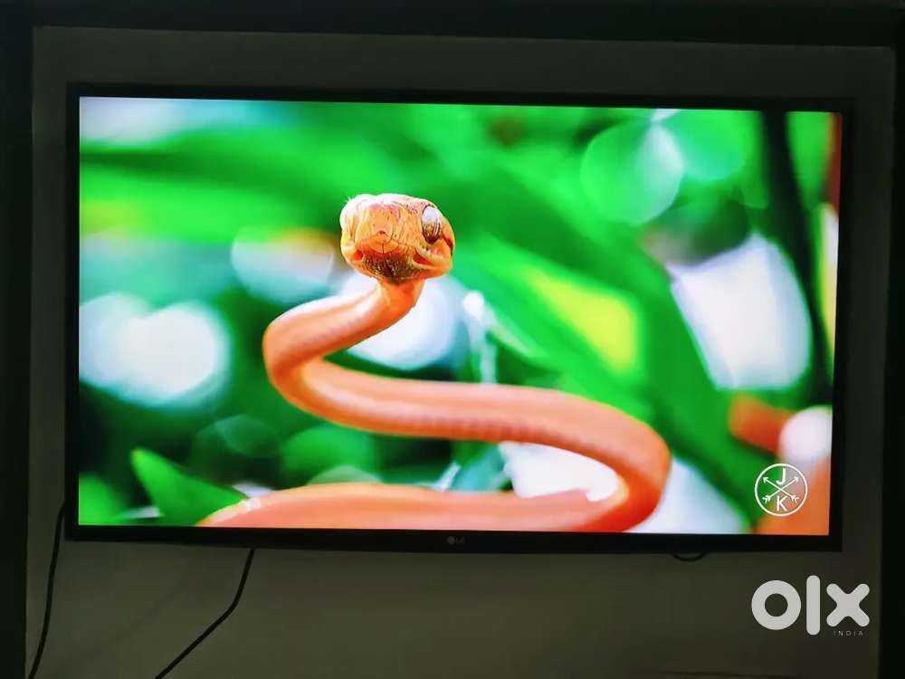 Selling LG TV 43Inch original!