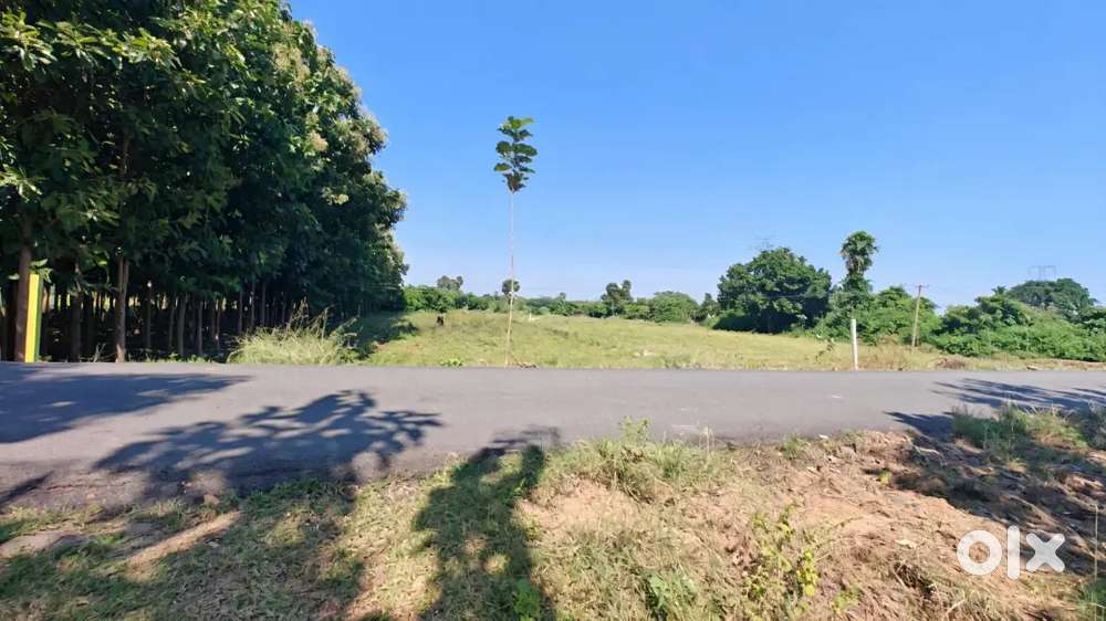 URGENT LAND SALE ON BUS ROUTE NEGOTIABLE