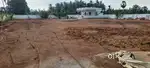 Land 60 Cents for Sale Near Savaravilli Bhogapuram Airport Junction