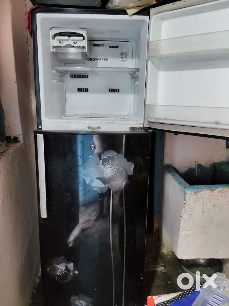 Electrolux Double Door Fridge