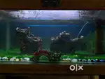 Fish tank.