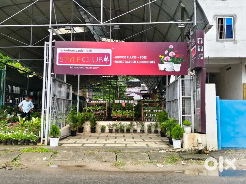 Style club,Indoor plants, outdoor plants, Manacaud, Kuriyathi