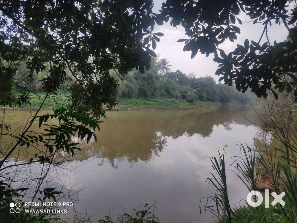 your perfect resort or homestay location awaits-Neervaram Wayanad