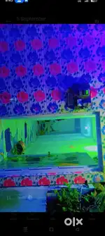 Have to sell house