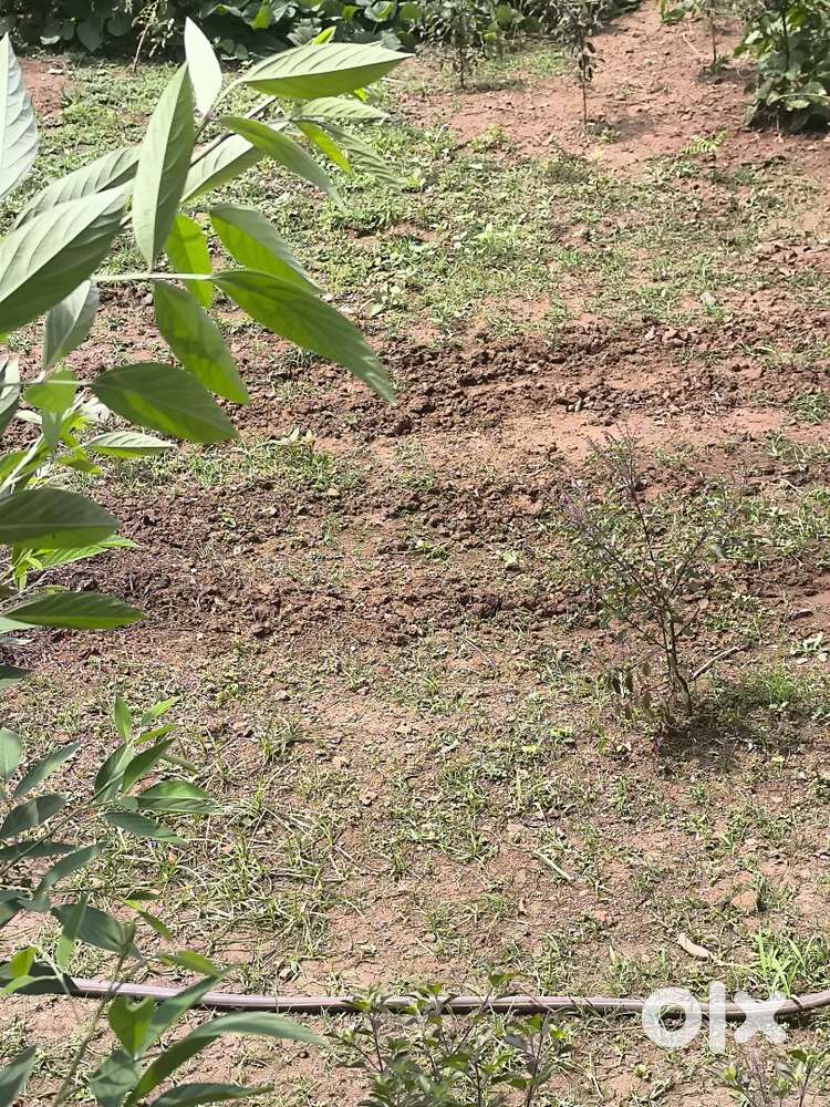14 गुंठे शेती प्लॉट देणे आहे