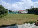 Farm house for sale in nanak heri Delhi near bsf camp Chawla