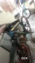 Freedom cycle freedom brand cycle