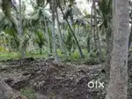 Razole lanka