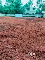 16 cent ns mylapoor mainroad 10 lakhs per cent