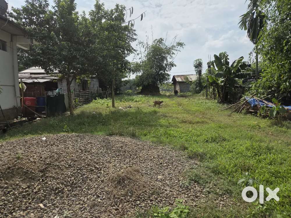 Kusiabill DIMAPUR AFC  PRAYER CENTRA SIDE OPPOSITE TO KUSIABILL