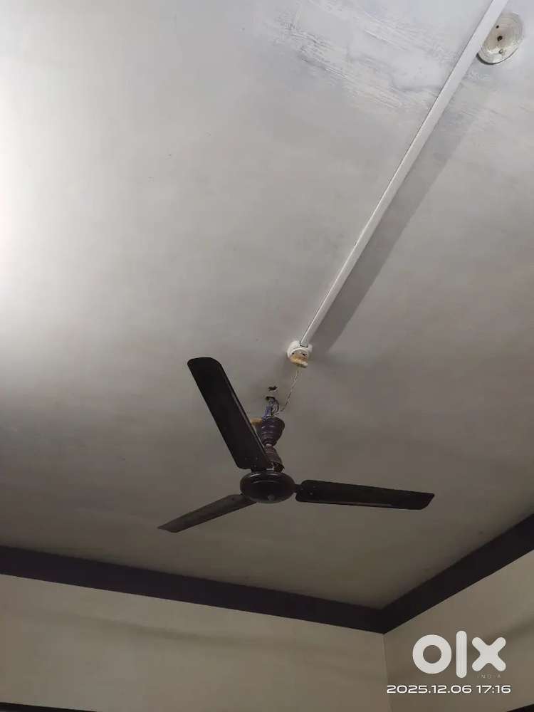 Ceiling fan