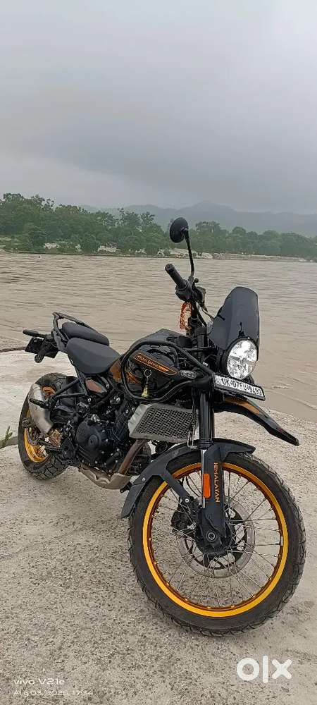 Himalayan 450 - Good condition with 1 service