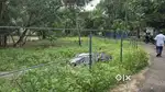 4 cent 5 cent 7 cent 14 cent plot ചേർത്തല തിരുവിഴ അമ്പലത്തിന് തെക്കുവശ