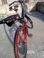 Avon cycle