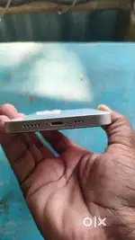 iphone(13)