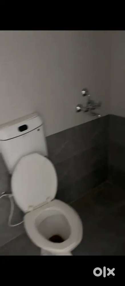2 bhk furnished independent flat in Mansarovar