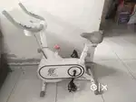 Fitness cycle