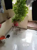 Santi nagar