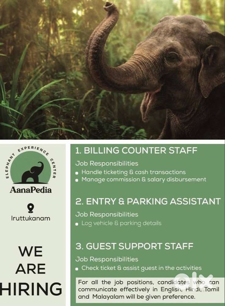 Ticketing and Guest Support Staff