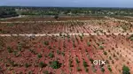 Premium Farmland with Resort Feel & Profit-Share Plan