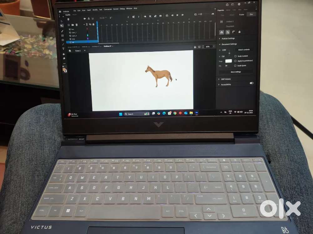 Hp victus 4050 16 gb ram i5 13gen