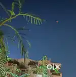 Behtareen Corner Plot Bukri ke liye, SS Nagar, Aligarh