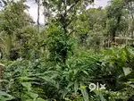 Property for Sale Near Lockhart Gap