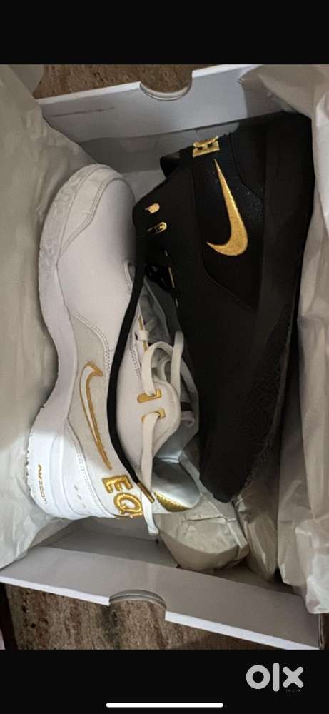 Lebron basketball shoes