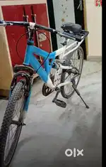 Double shoker cycle