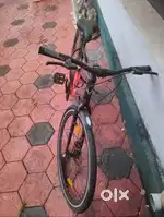 Bycycle 2024 purchase