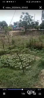 5 ਮਰਲੇ ਪਲਾਟ 10 ਫੁੱਟ ਗਲੀ ਸੀਵਰੇਜ ਪਿਆ ਹੋਇਆ
