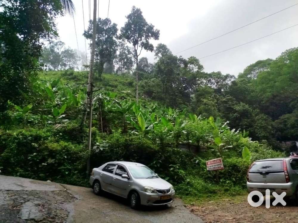 Beautiful Farming/Resort Land for Sale