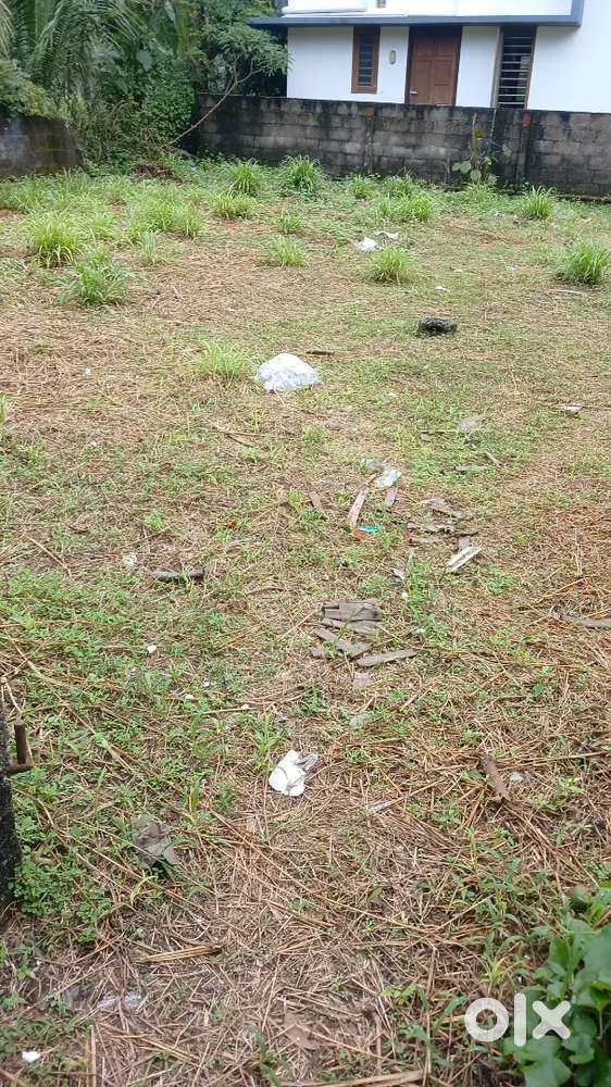 Two plots 6 cents and 5 cents i mullassery