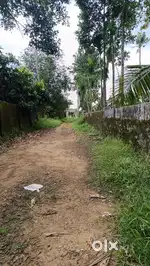 Near Thuravoor junction