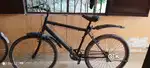 New cycle good candisan