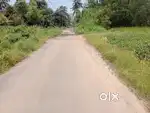 15 cent kakkanad recca valley near collectorate