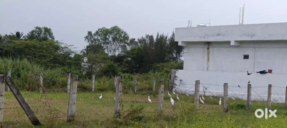 300 sq yards, South -East two roads corner and 40feet road each.