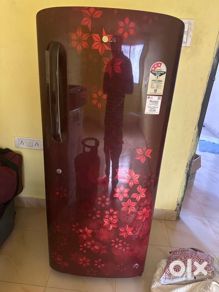 LG 220 litre fridge