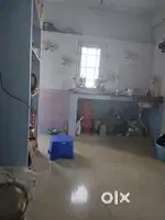 Only bachelors is allowed
