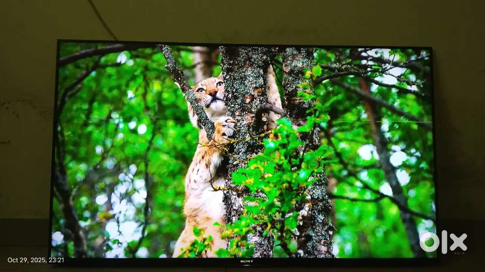 SONY 55INCH SMART TV