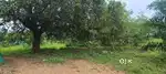 Farm house. 10acers