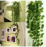 New 24ft artificial gardens money plant low price