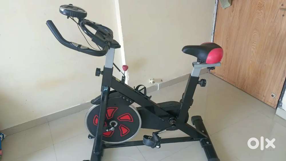 Lifelong LLF45 Fit Pro Spin Fitness Bike