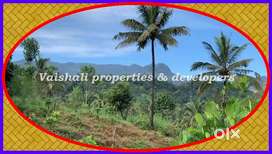 8 Acres Land @ 20000 per cent