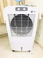 1 year old cooler