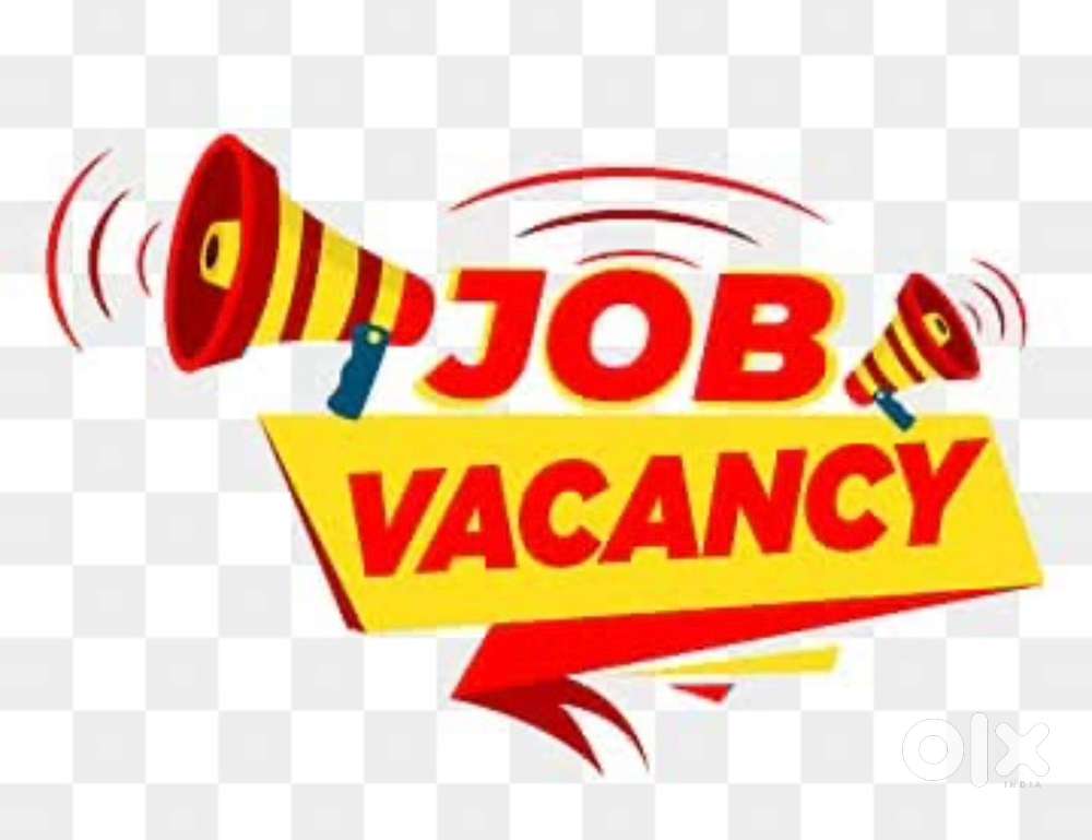 Need a helper in a wholesale vegetable shop Night shift from 10PM to 6