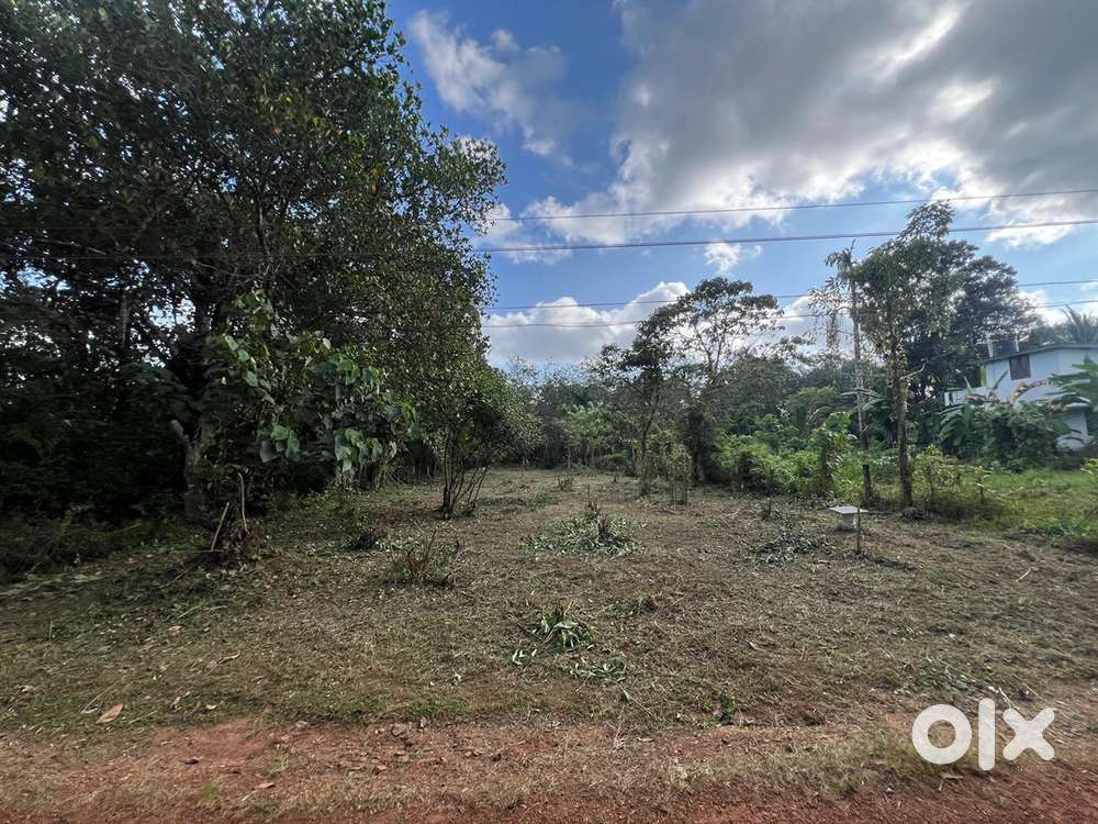 20 Cent Residential &Commercial land for sale vellerakkad kunnamkullam